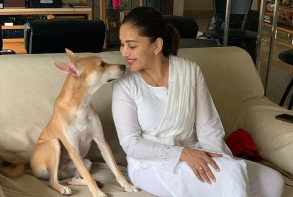 Madhuri Dixit shared picture with Her Adorable Riyaaz Partner