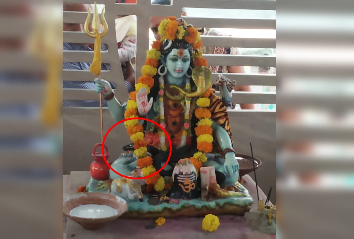 Big snake video viral with Lord shiva temple in Gorakhnath Ghat in gorakhpur