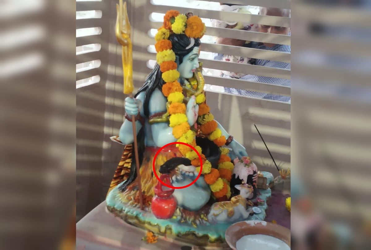 Big snake video viral with Lord shiva temple in Gorakhnath Ghat in gorakhpur
