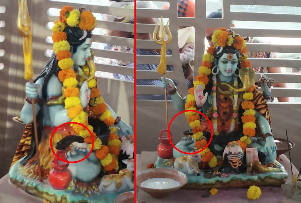 Big snake video viral with Lord shiva temple in Gorakhnath Ghat in gorakhpur