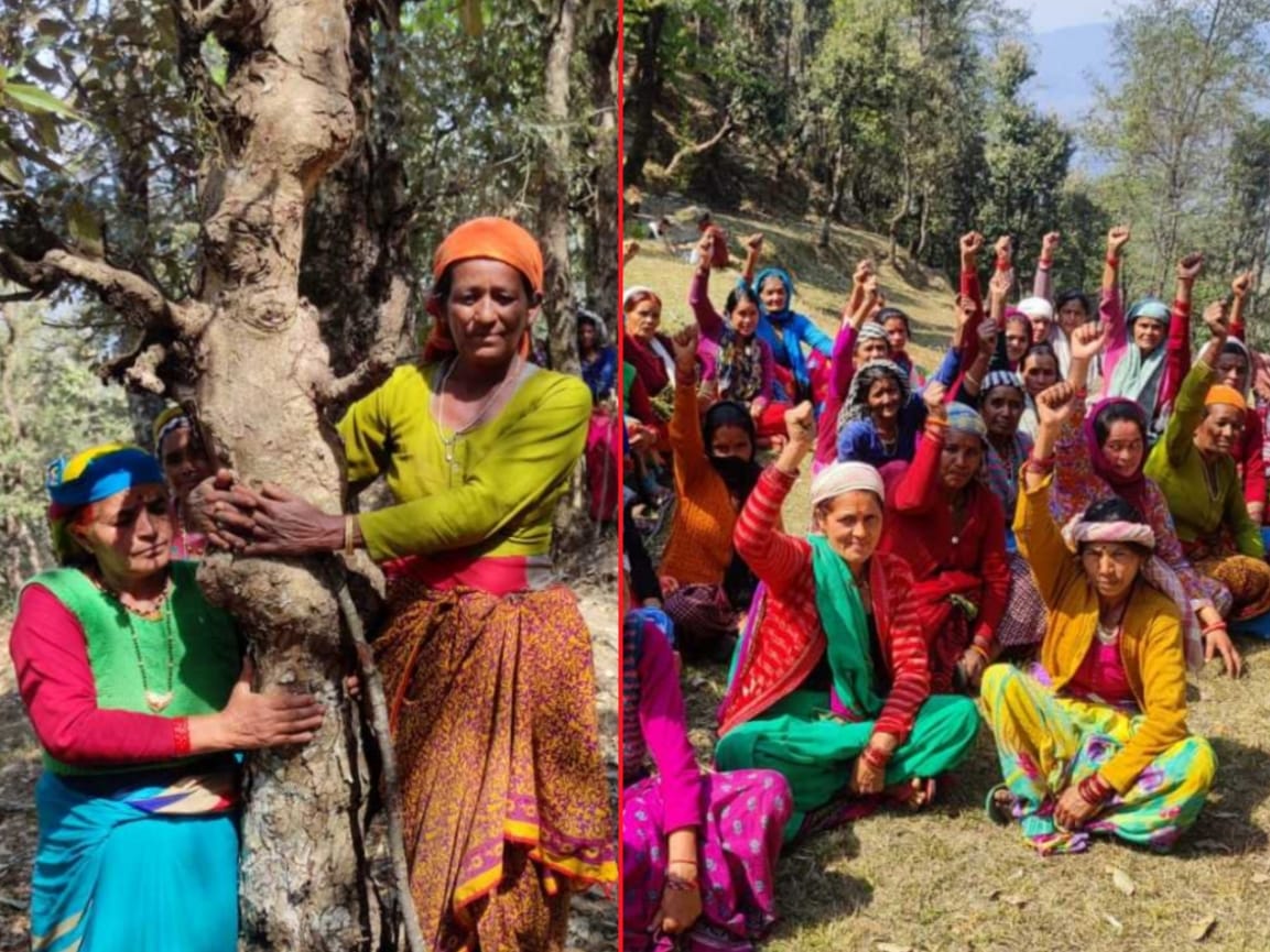 uttarakhand news: bageshwar women wrapped Tree for save them