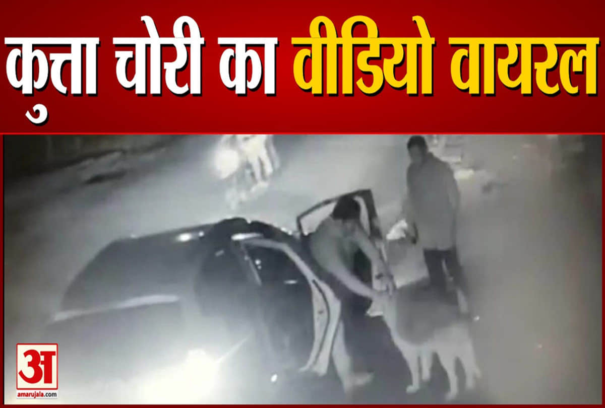 विदेशी नस्ल का कुत्ता चोरी