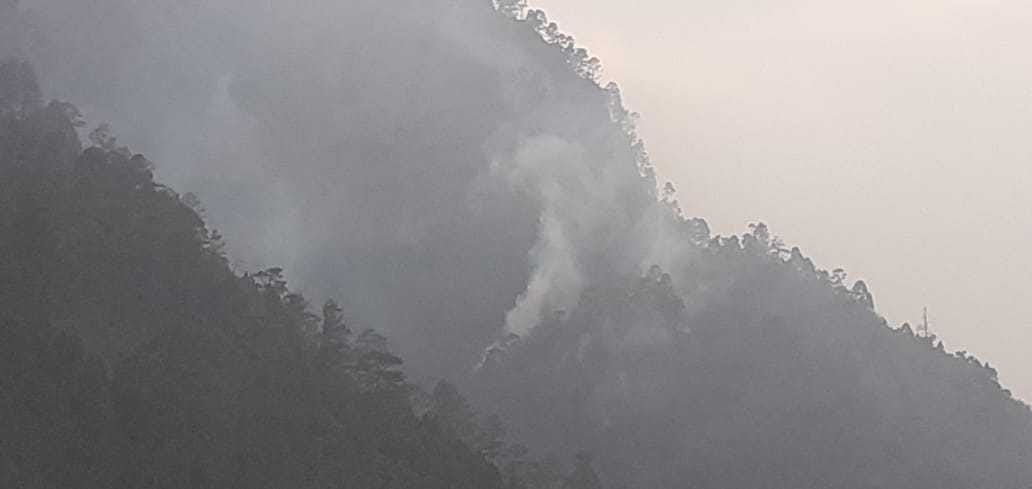 forest of kalpair caught fire