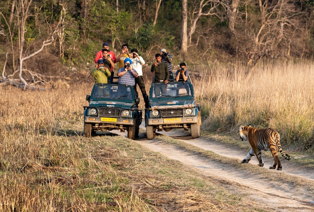 World Environment Day 2023 Tips To Protect Eco-Tourism Destinations During Travel News In Hindi