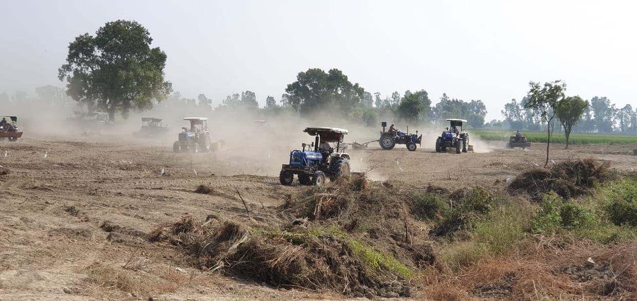 10th Oxygen Garden will be prepared by planting 100 species of plants on 10 acres on Martyrdom Day