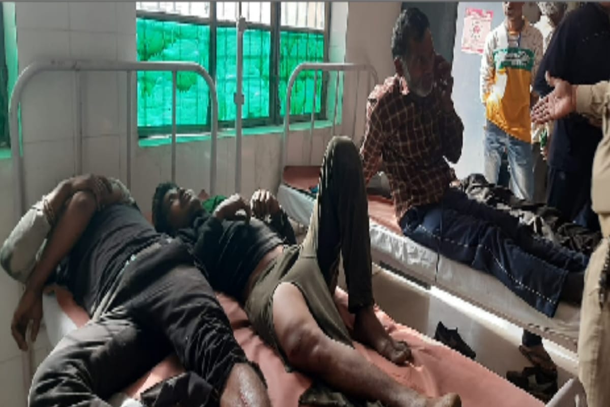 Small elephant vehicle overturns, 18 workers injured