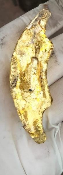 45.17 Lacs gold detained from smaglers