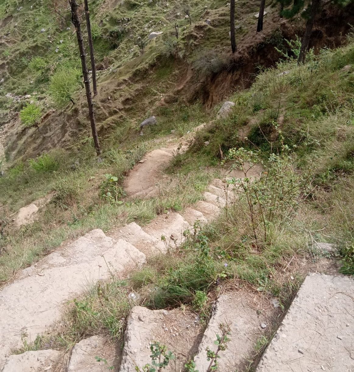 no road fascility to Bhadiakothi
