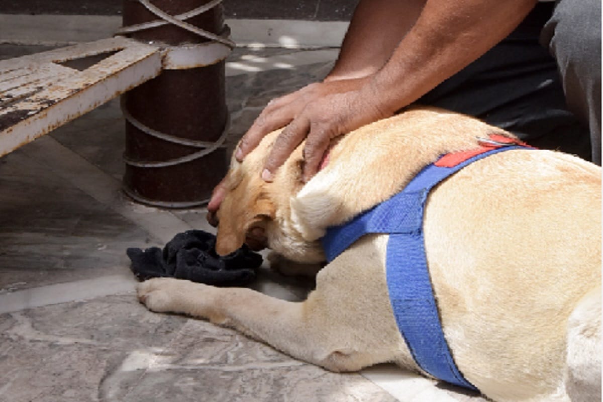 The servant has stolen of 40 lakh in BJP leader's house in Saharanpur