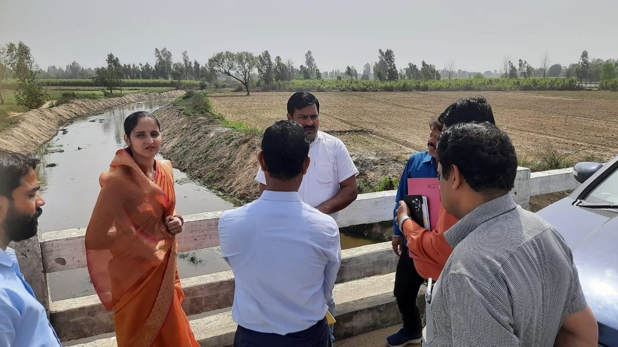 MLA angry over finding dead bovine in river