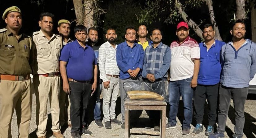 Elephant Teeth Case: Forest Guard Suspended, Forest Inspector and Ranger Attached