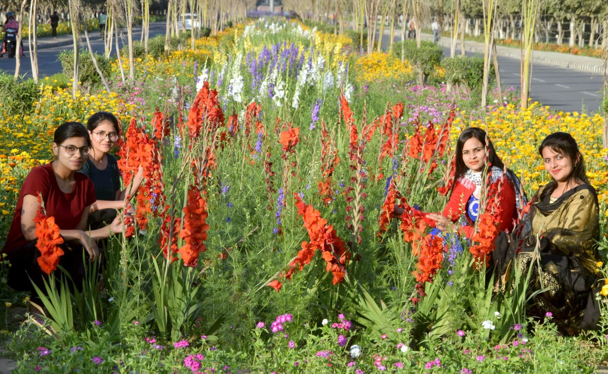 Campus smelling of fragrant flowers, selfie point made for youth