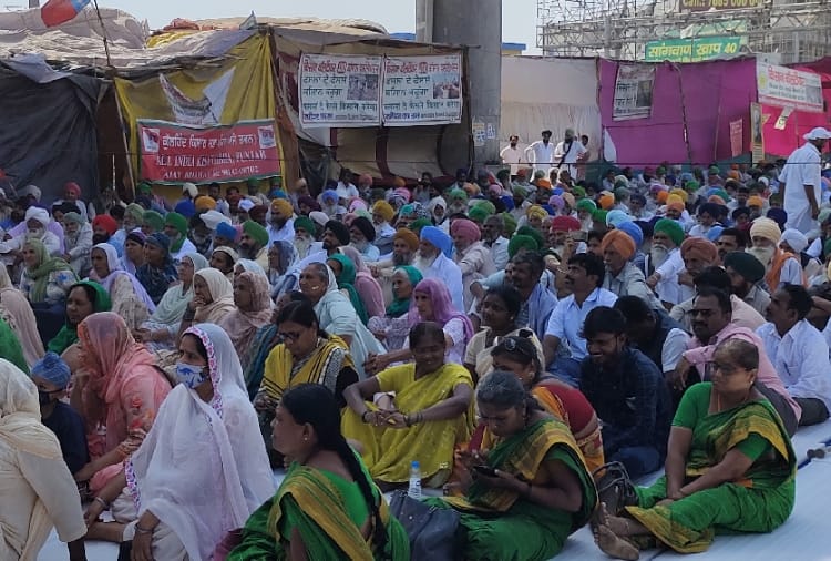 Farmers Bought murrah buffalo for milk supply at Tikri Border of Haryana