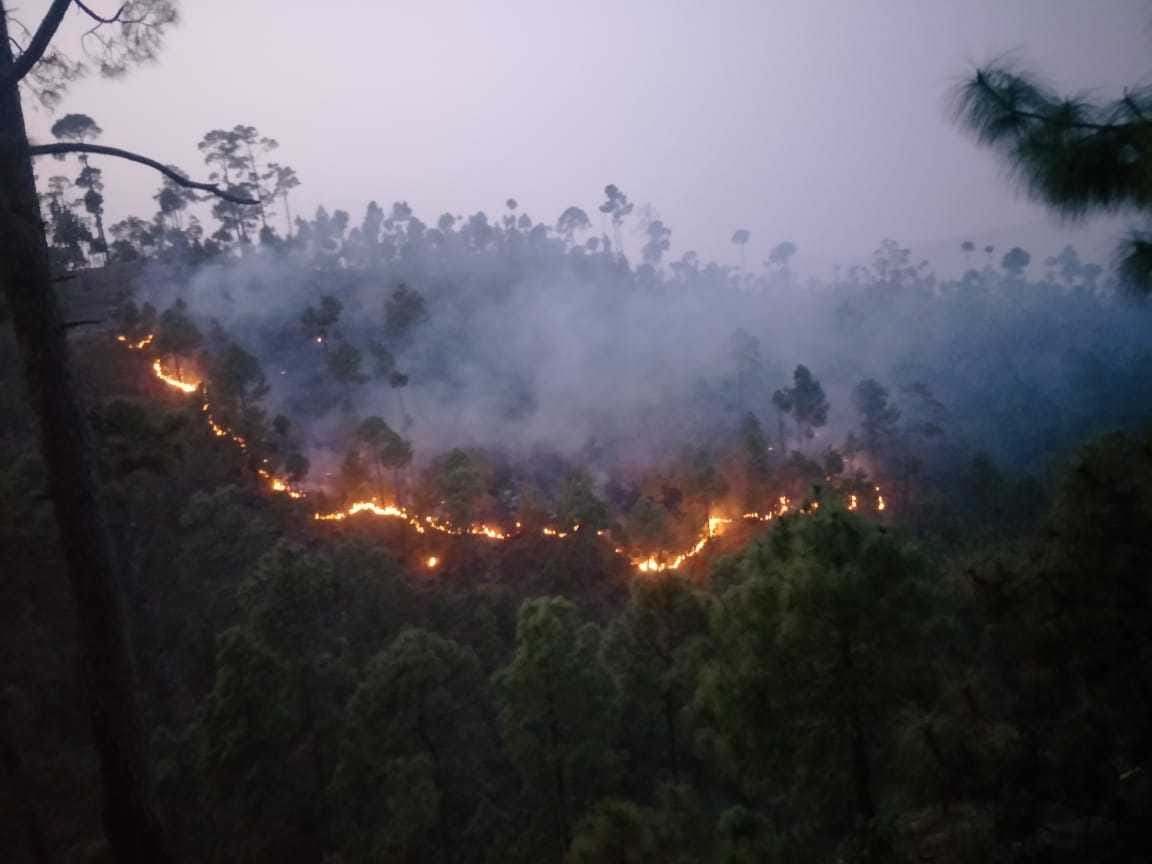 Fire in the forest of Joumel
