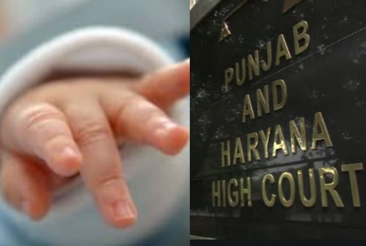 Important Comment of Punjab And Haryana High court over maternity leave