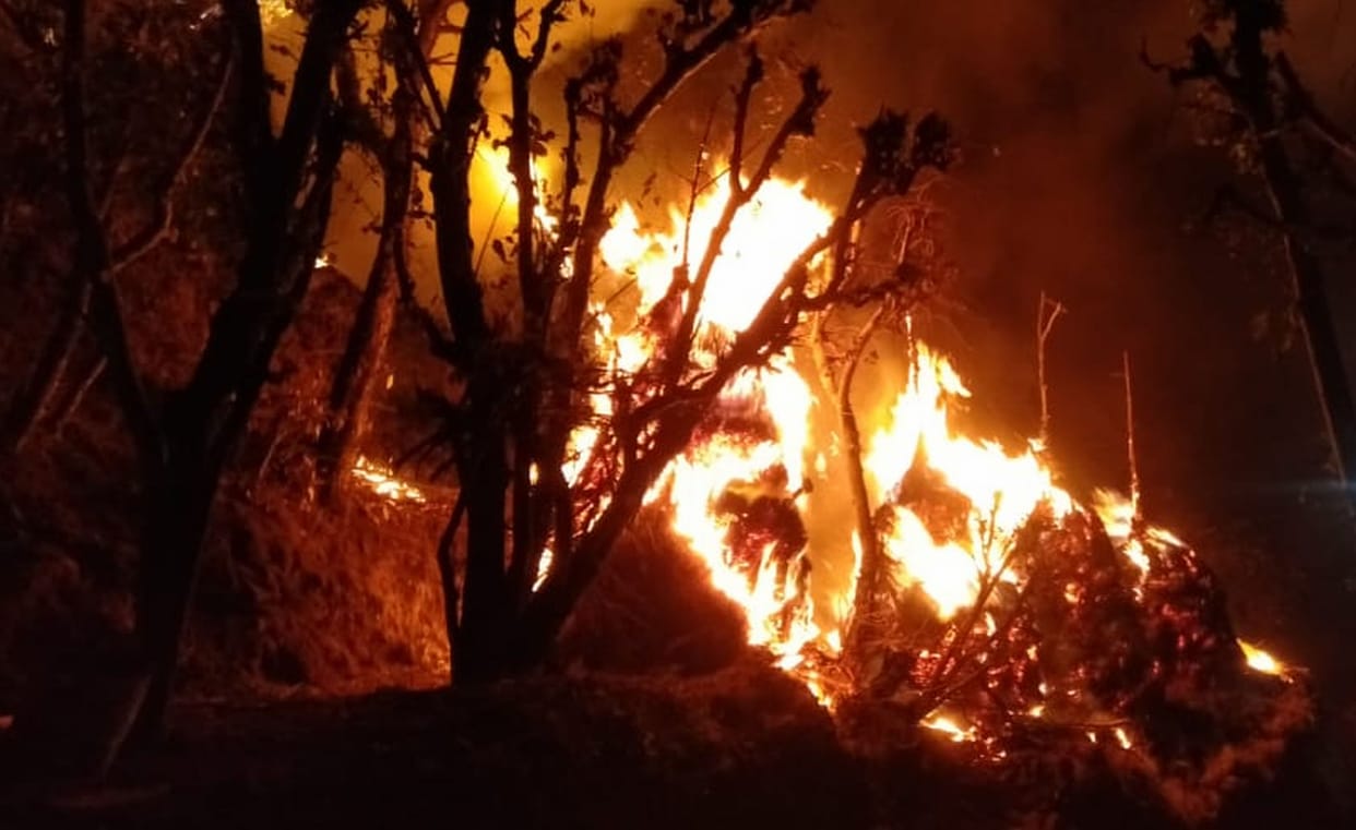 forest fire burns bundle of grass