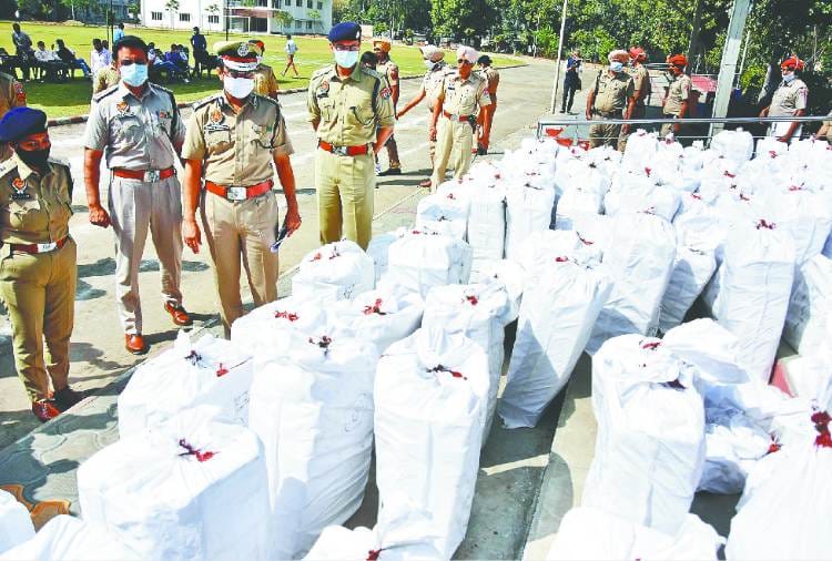 Ludhiana Police Raids in Meerut, 14 Smugglers arrested with 67 lakhs intoxicating pills
