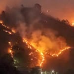 wildfire