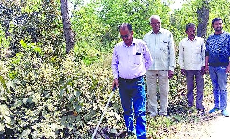 Leopard claws found near college in Hafizganj