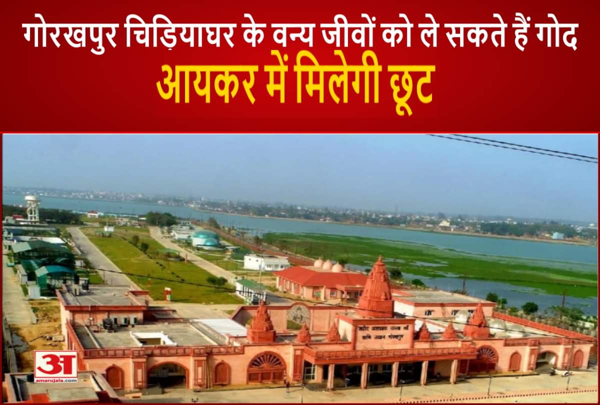 Gorakhpur news
