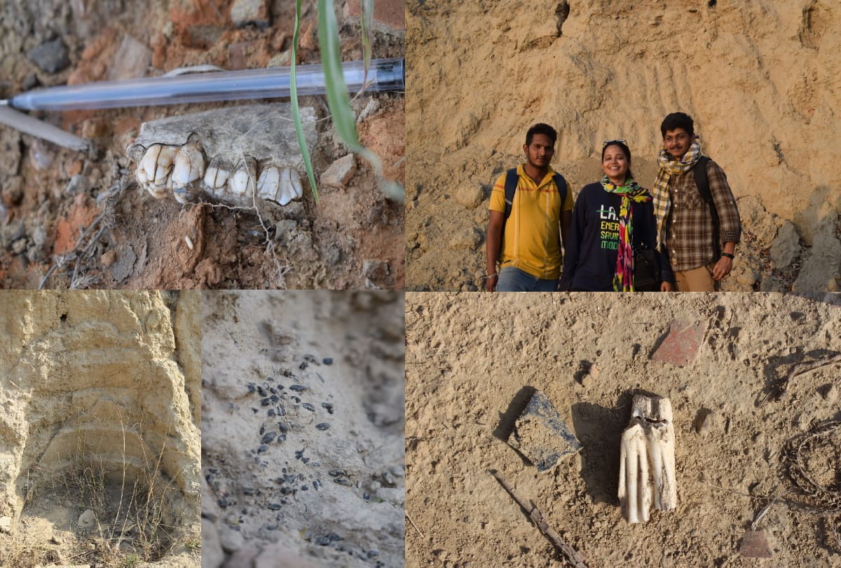 Delhi University evidence of sixth and seventh century human settlement animal remains terracotta images pottery found in sultanpur