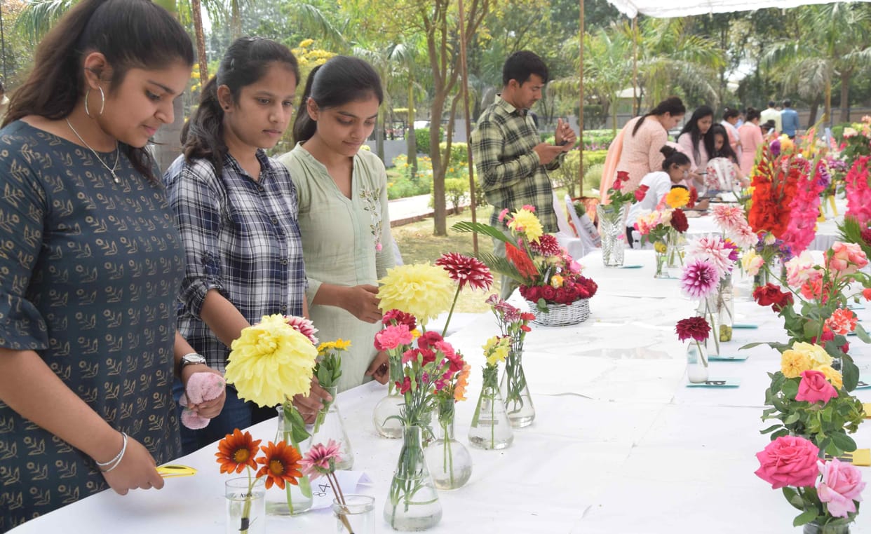 The colorful flowers tempted, the youth enjoyed