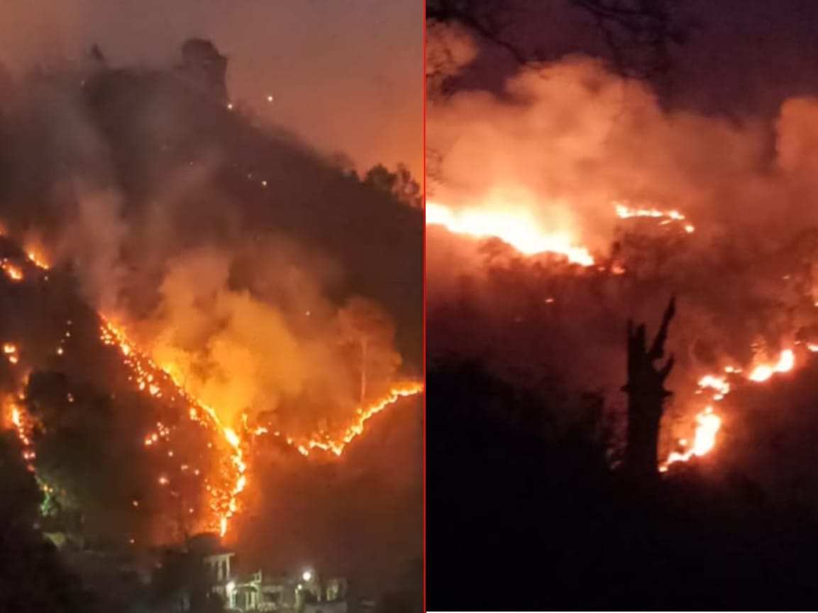 wildfire in uttarakhand : alaknanda valley forest burnt photos