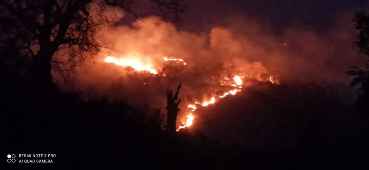 Horrific Wildfire in uttarakhand and Bandhavgarh, Madhya Pradesh Forest