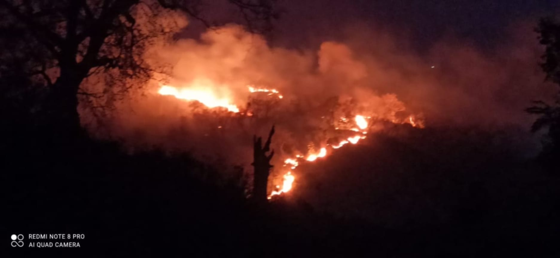 Wildfire in uttarakhand : horrific wildfire in uttarakhand forest watch photos