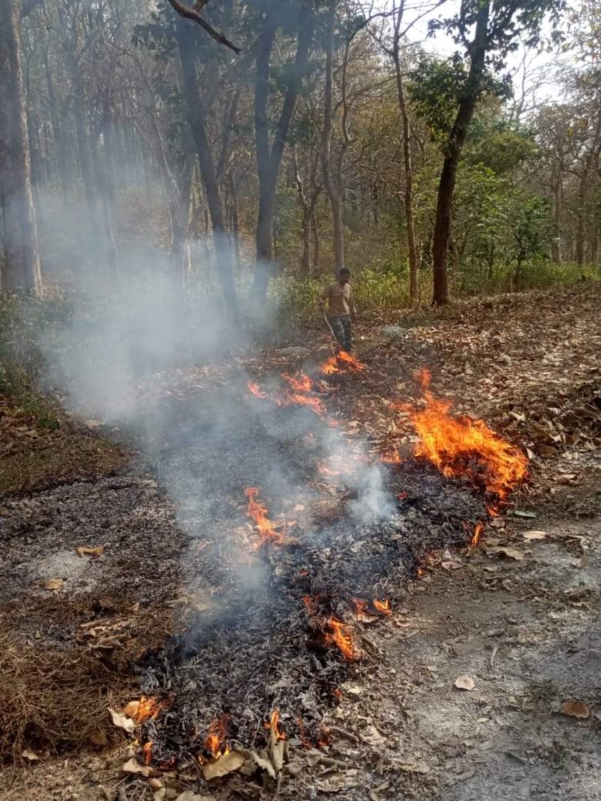 wildfire in uttarakhand : alaknanda valley forest burnt photos
