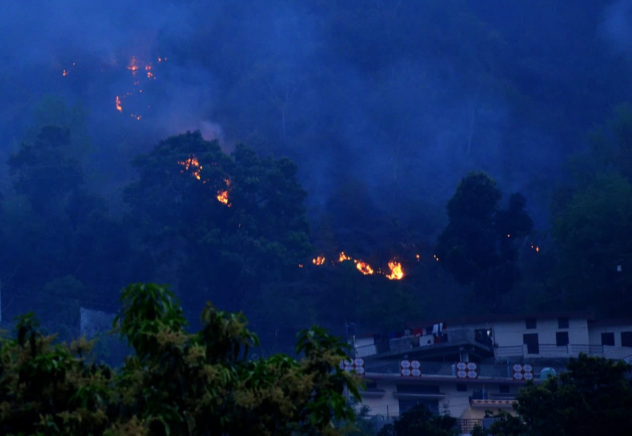 wildfire in uttarakhand : alaknanda valley forest burnt photos