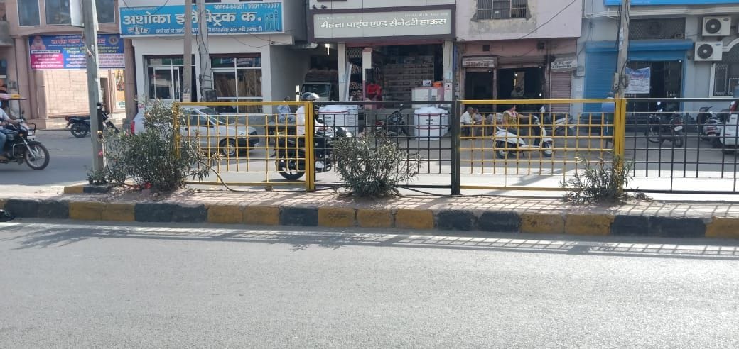 Five lakh saplings are seen every year, yet the forest area is decreasing