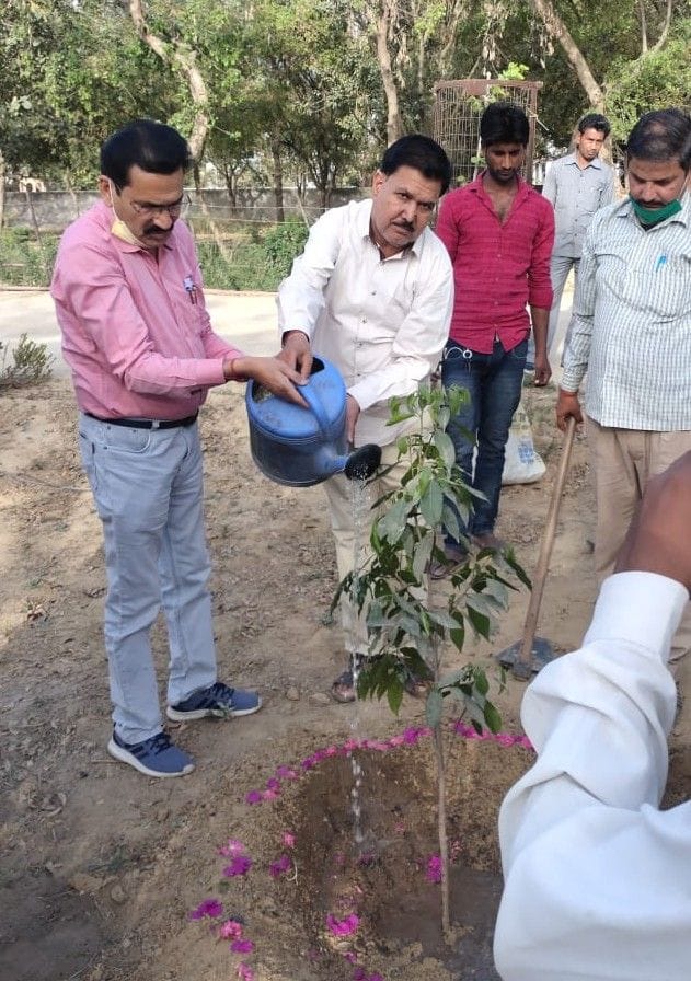 Hathras: Keep grain and water on the munder, sparrows will come out in the courtyard