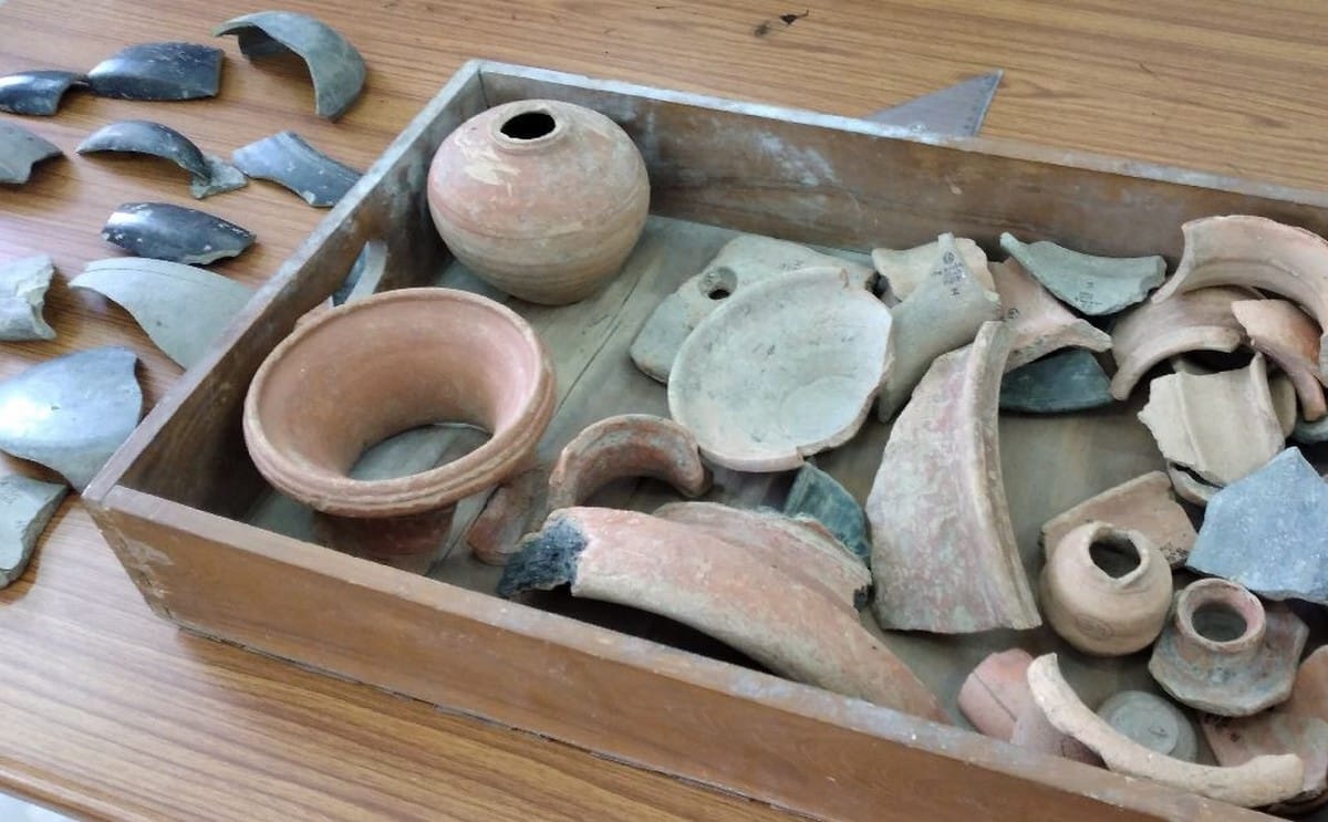 BHU saving antiquities found in Ram Janmabhoomi enclosure 