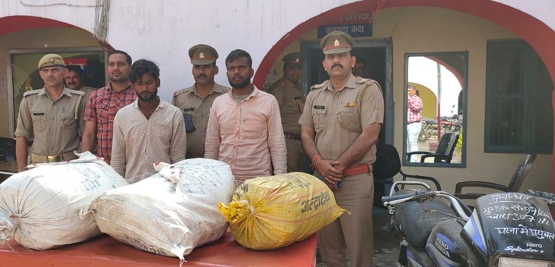 The accused of wire theft caught during the encounter
