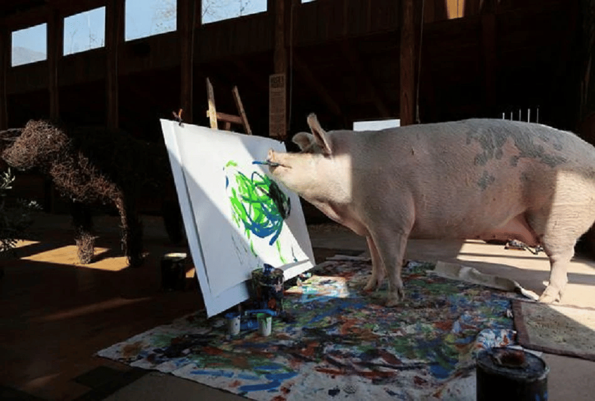 pigcasso pig who made a painting of Prince Harry of Britain sold in millions