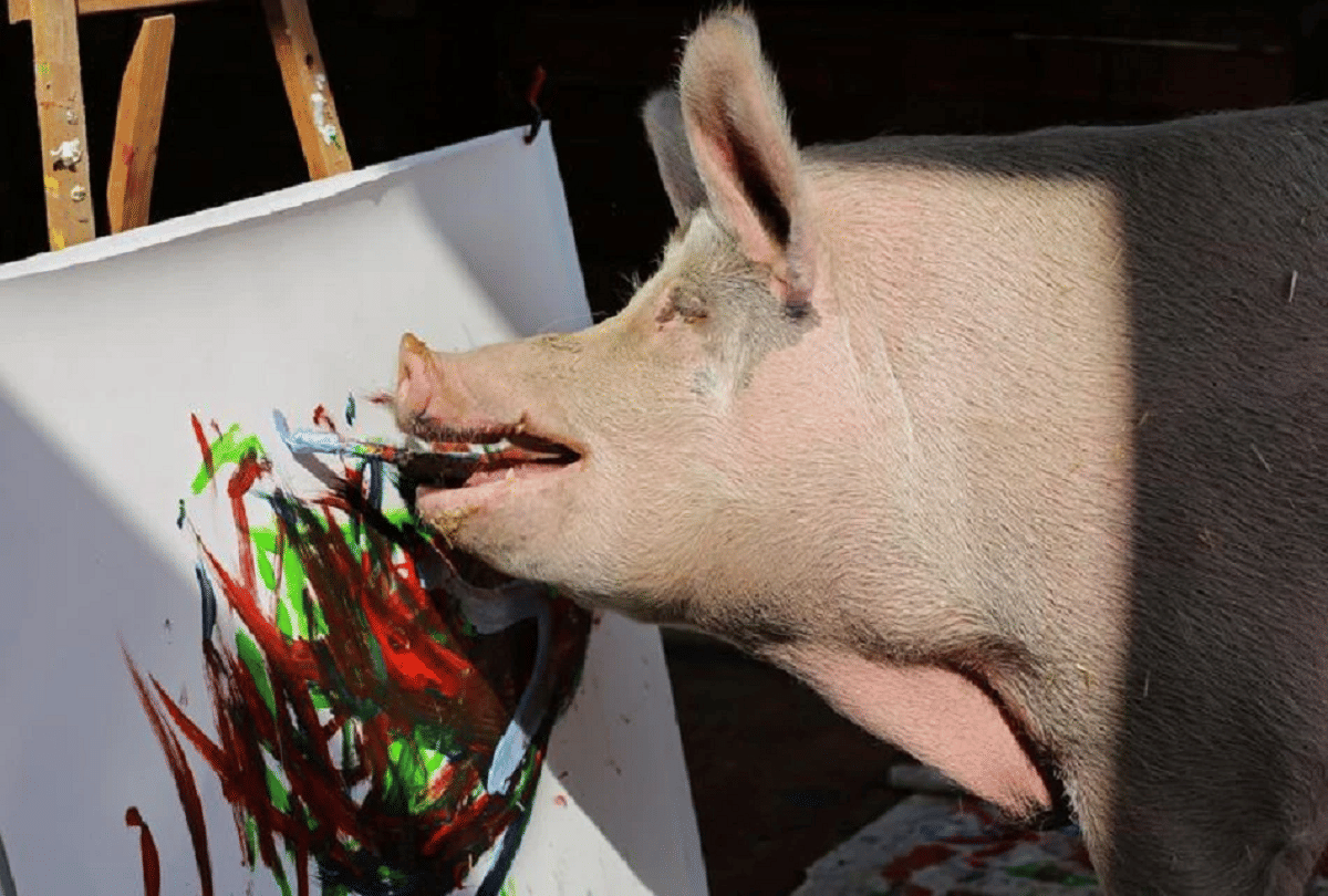 pigcasso pig who made a painting of Prince Harry of Britain sold in millions