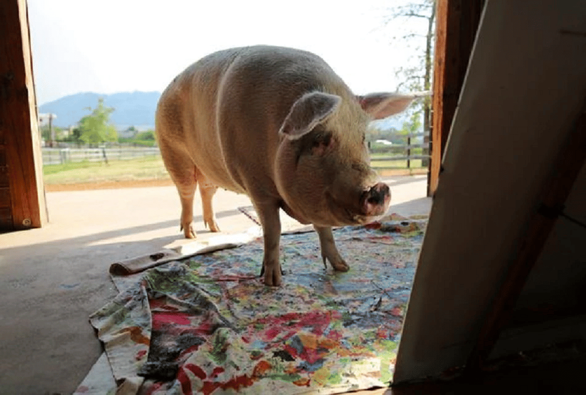 pigcasso pig who made a painting of Prince Harry of Britain sold in millions