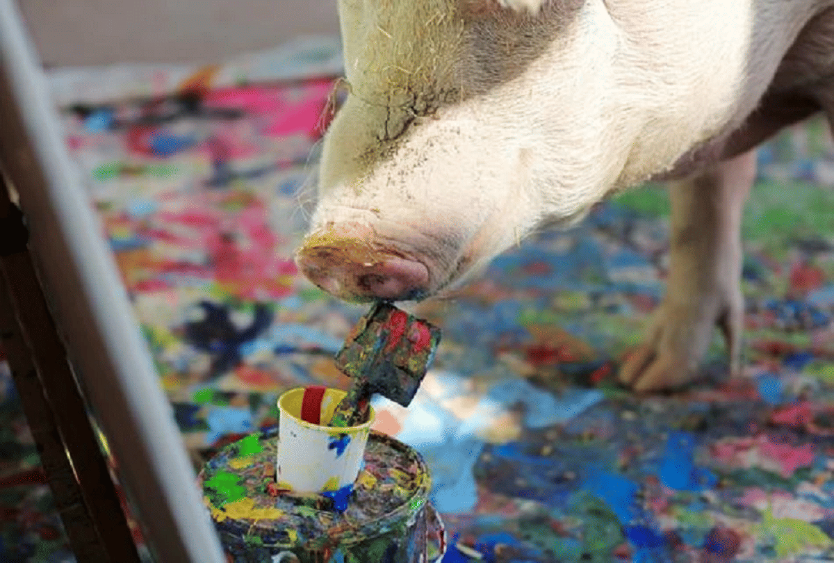 pigcasso pig who made a painting of Prince Harry of Britain sold in millions
