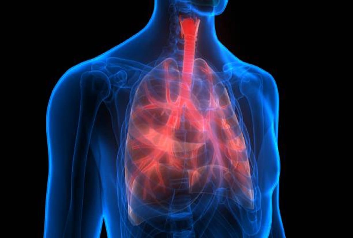 world tb day 2024  80% of TB patients lack cough More than a quarter had no other symptoms of tuberculosis