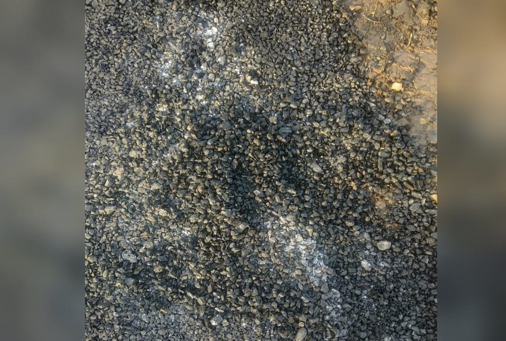 Dehradun News: Cracks fell on Road after one Day of Construction photos