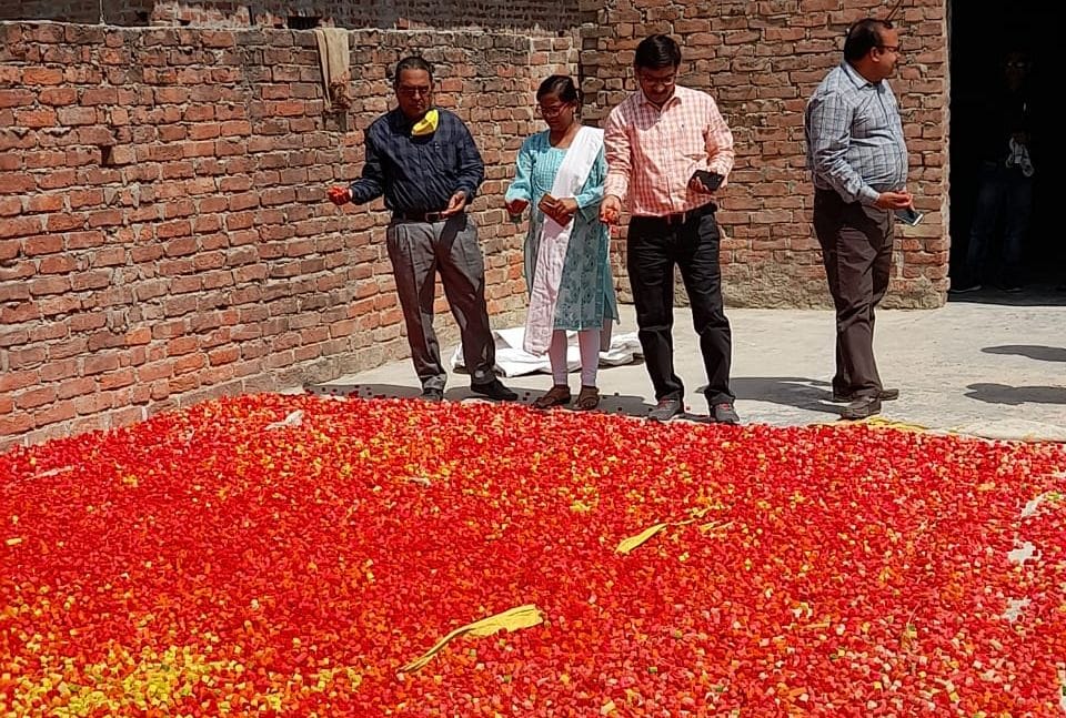 Colorful Kachri Seas for samples of milk, ghee, curd and cold drink