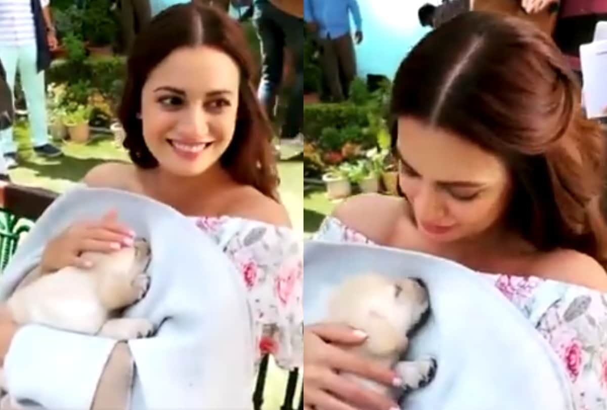 Dia Mirza with a sleepy puppy is too cute watch video