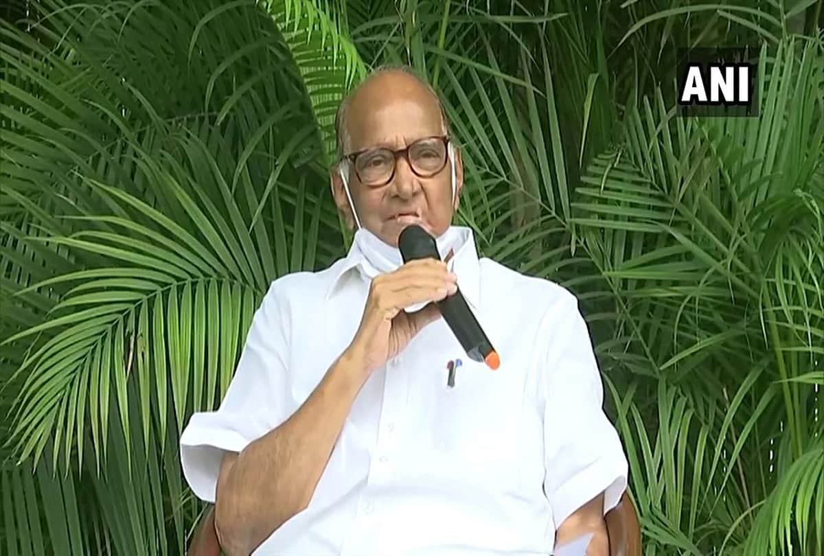 Not involved in talks between Uddhav and Ambedkar says Sharad Pawar