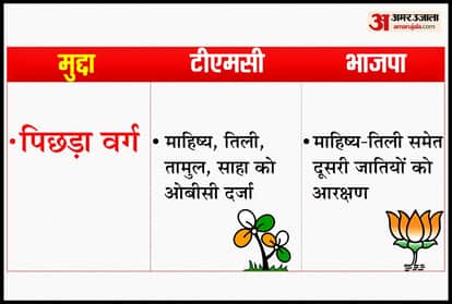 west bengal assembly election 2021: BJP sankalp patra and TMC manifesto