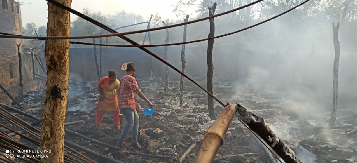 Sonbhadra: Fire in the forest reached the township on second day Hens burn alive