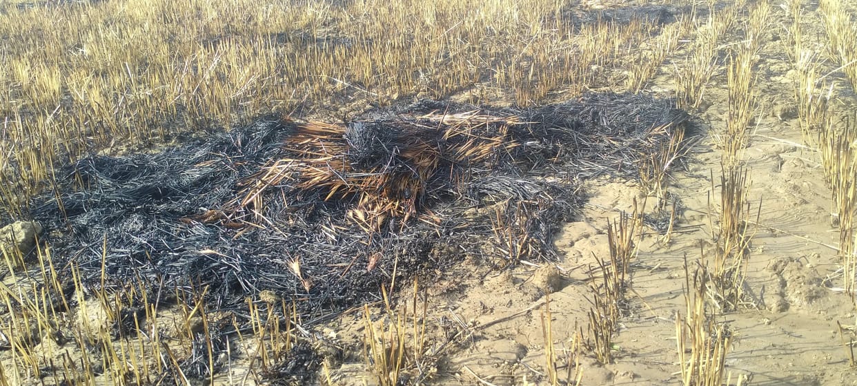 wheat crop on fire