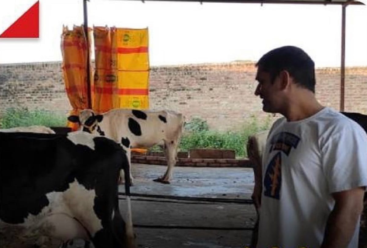 MS Dhoni Starts retail business milk fruits and Strawberry at Eeja farm outlet in ranchi
