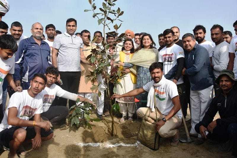oxygen bag, innogeration, tree plantation