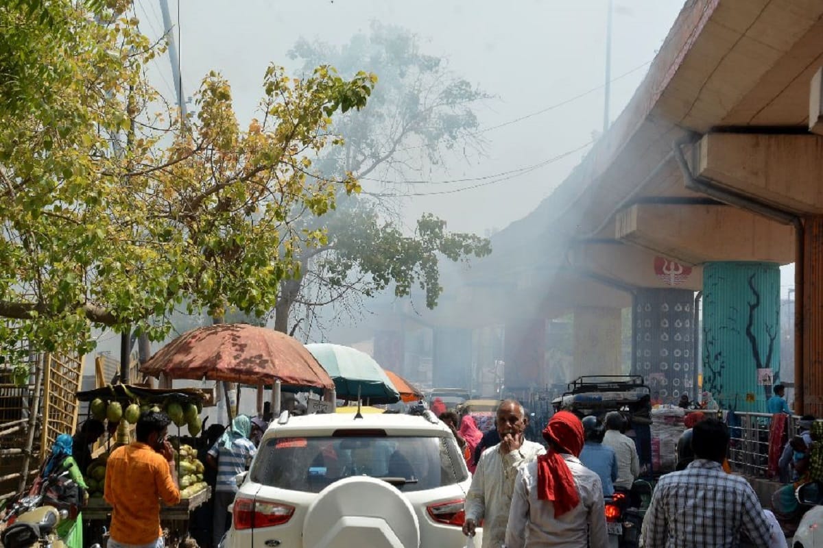Japan Miyawaki method will improve air quality in Varanasi